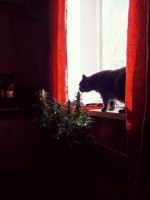IMG_20191122_110308.jpg