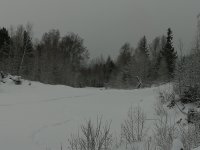 IMG_20191226_110933.jpg