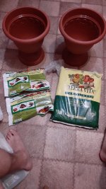 IMG-20191219-WA0000.jpg