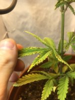 2019-12-30 14-31-51.JPG