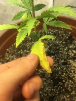 2019-12-28 08-32-13.JPG