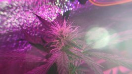 IMG_20191231_115134.jpg