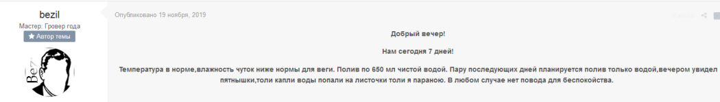 Screenshot_2020-01-03 LSD CRITICAL CUSH Кокос лэд .png