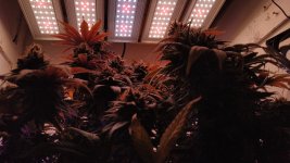 IMG_20200102_152157.jpg
