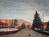 IMG_20191204_084050-01.jpeg