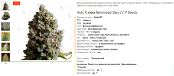 Auto Caiera feminised GanjaVIP Seeds.png