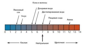 image (4).jpg
