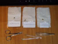 2020_01_09а (7).JPG