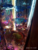 IMG_20200110_140113.jpg