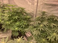 12C4ECA3-A825-4243-B14A-3EE7F3383E85.jpeg