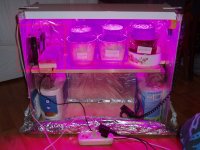 2020_01_09 bis (14).JPG