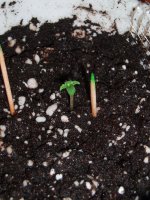 2020_01_09 Каёера.JPG