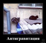 1578089106_1568011663_demotivaory-7.jpg