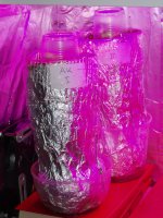 2019 05 22 (66).JPG