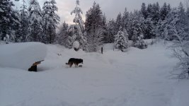 DSC_0364.JPG
