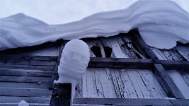 DSC_0379.jpg