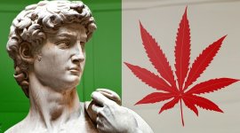 cannabis-cultivation-italy.jpg