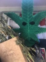 photo_2020-01-18 20.01.19.jpeg