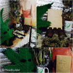 Collage_FotorGanja live3.jpg