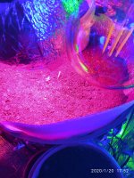 IMG_20200120_175222.jpg