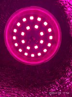 IMG_20200120_175419.jpg