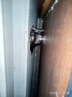 IMG_20200121_041852.jpg