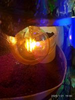 IMG_20200121_190032.jpg