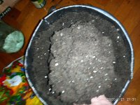 IMG_20200121_213158.jpg