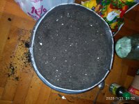 IMG_20200121_213244.jpg