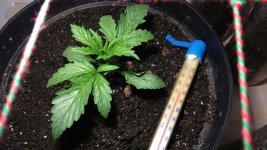 photo_2020-01-23_00-36-21 (2).jpg