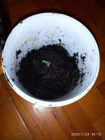 IMG_20200123_021314.jpg