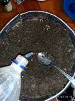 IMG_20200123_021300.jpg