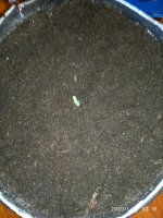 IMG_20200123_021850.jpg