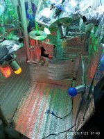 IMG_20200123_014955.jpg