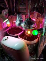IMG_20200123_030724.jpg