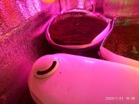 IMG_20200123_163821.jpg