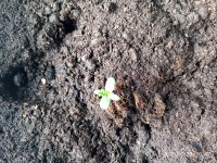 IMG_20200123_164752.jpg