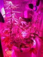 photo_2020-01-24_19-35-11 (2).jpg