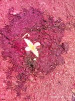 IMG_20200124_185848.jpg