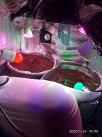 IMG_20200124_180936.jpg