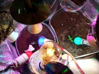 IMG_20200125_015639.jpg