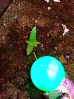 IMG_20200125_140457.jpg