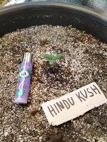 3 дня от каски.jpg