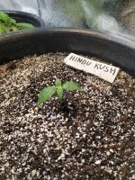 7 дней от каски.jpg