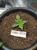 9 дней от каски.jpg