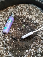 1 день от каски.jpg