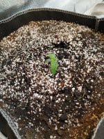 5 день от каски.jpg