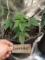 16 дней от каски.jpg