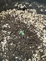 1 день от каски.jpg