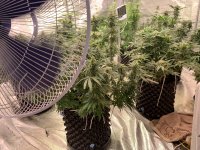 C6B25F92-69A5-40F9-AC6F-F64868CCF86E.jpeg